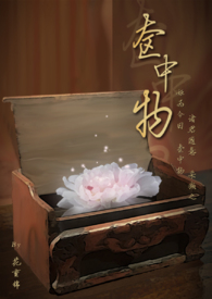 奁中物(古言,NPH)